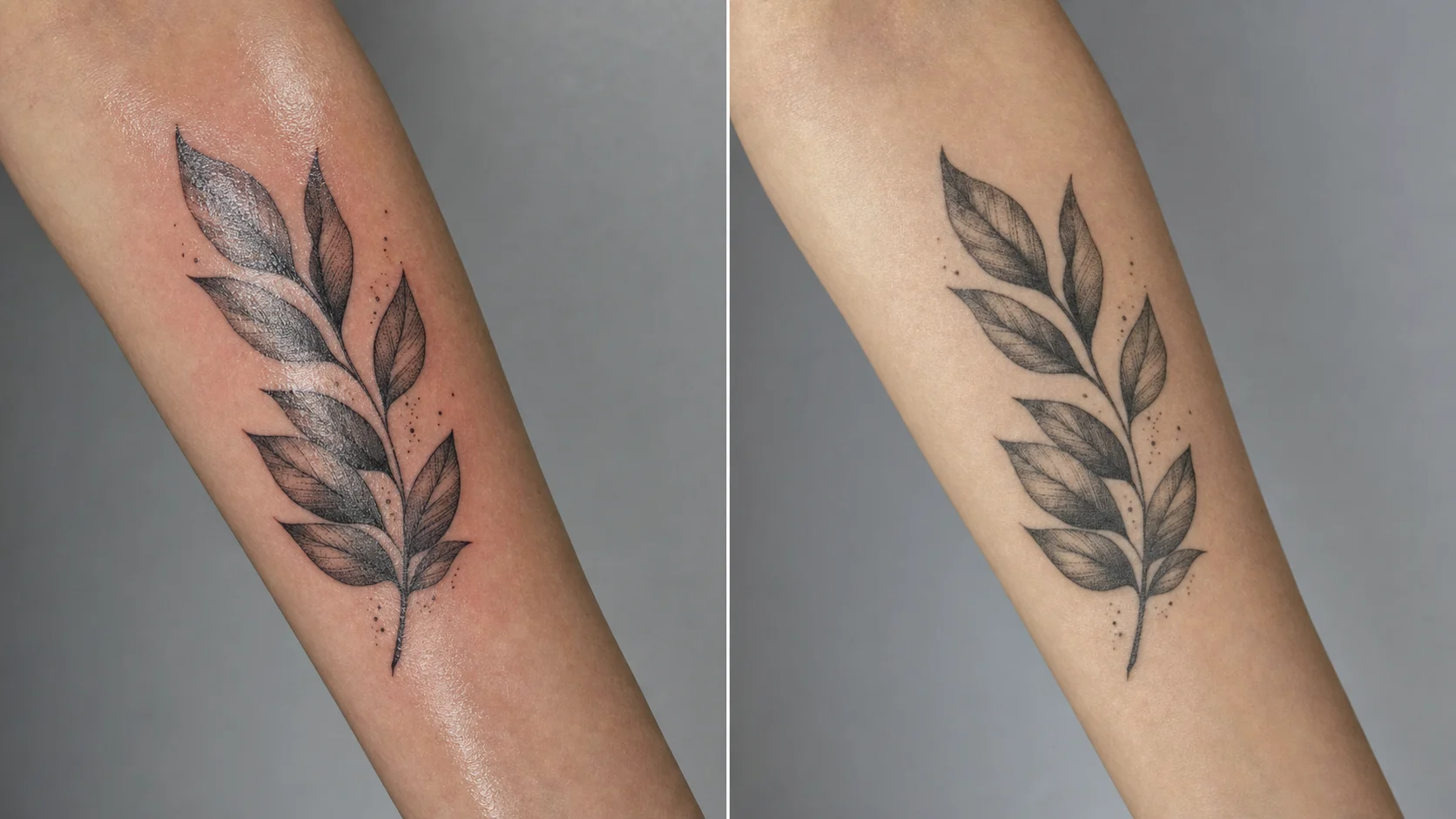 El mismo tatuaje en paralelo: recién hecho (mojado, mucho contraste, inflamado) y cicatrizado (asentado, más suave, fiel a la piel)